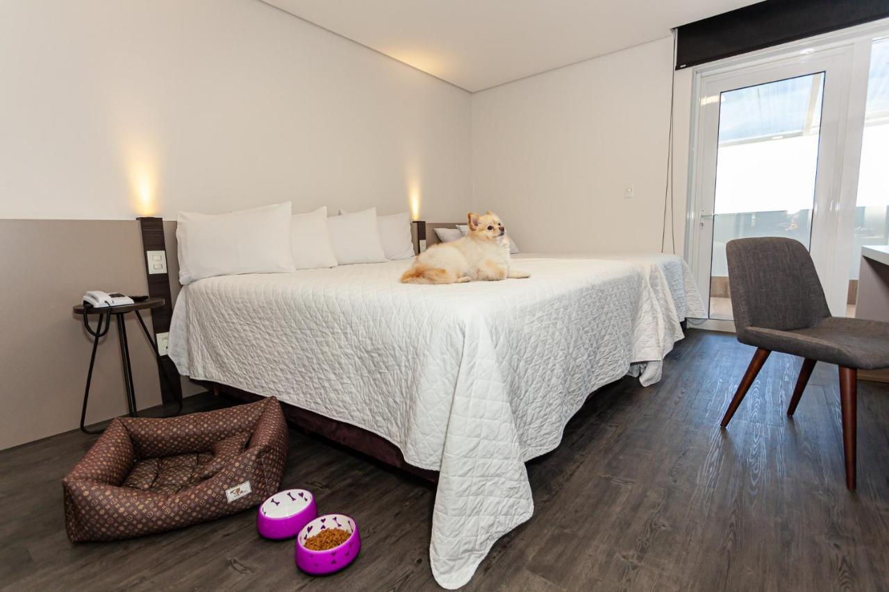 Travel Inn Hotels Caxias Do Sul Ngoại thất bức ảnh